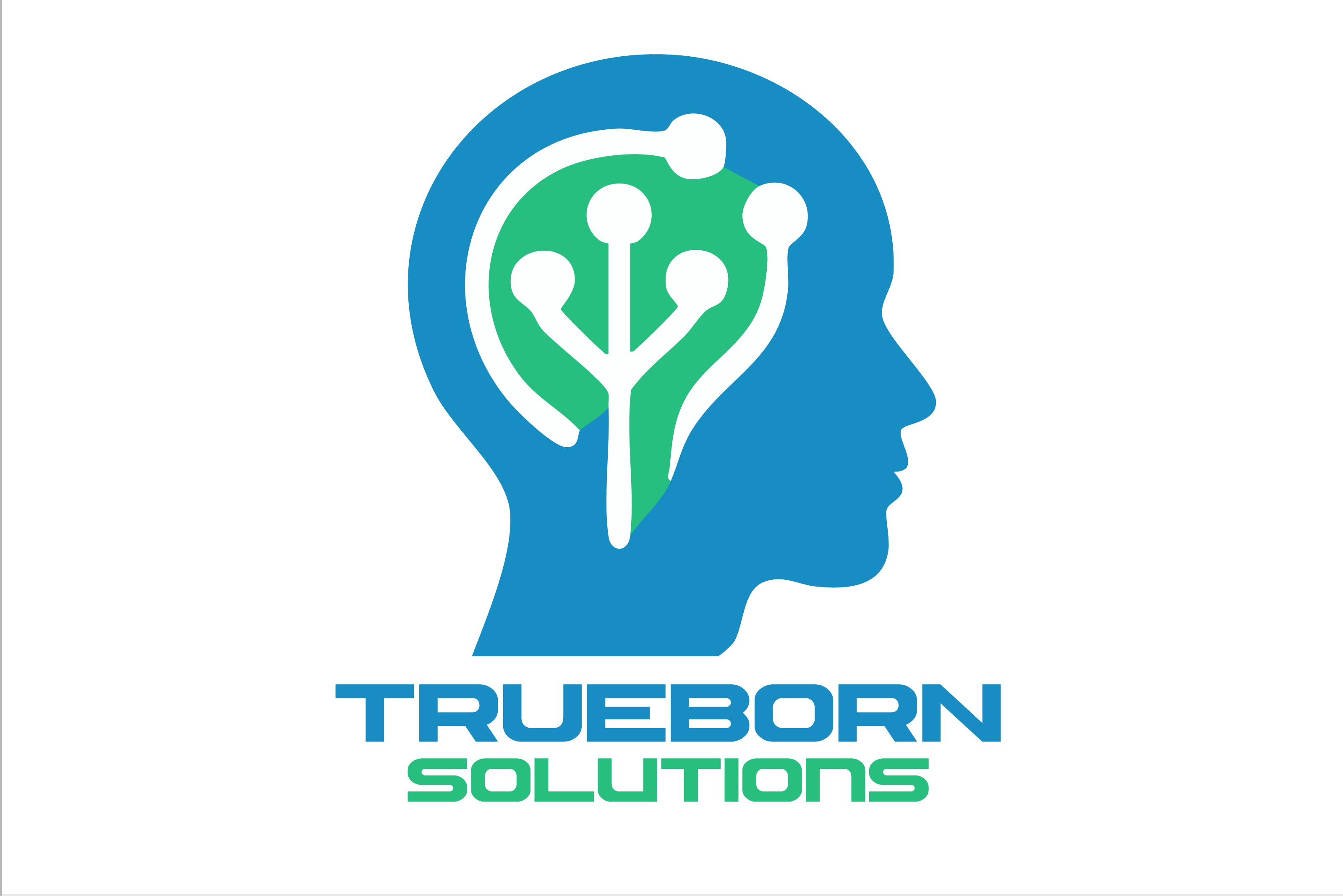 Truborn Solutions Logo